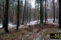 Findling 3 bei Haselberg nahe Wierzen in der Märkischen Schweiz, Brandenburg, (D) (2) 24. Januar 2016.JPG